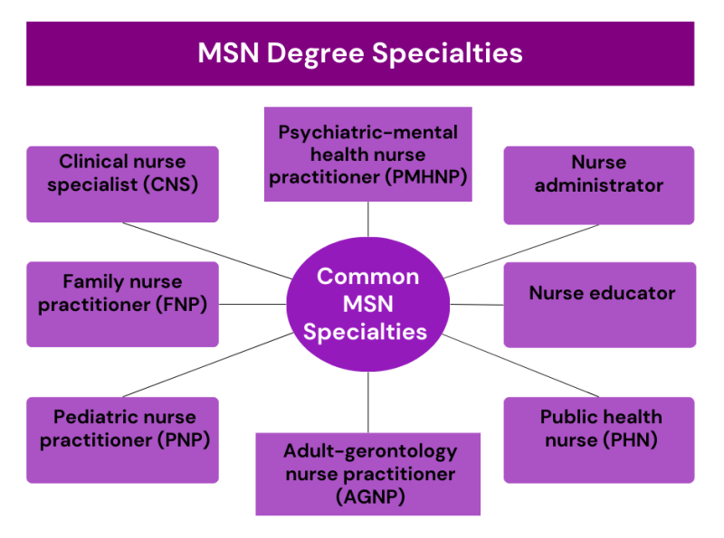 Common msn degree specialties